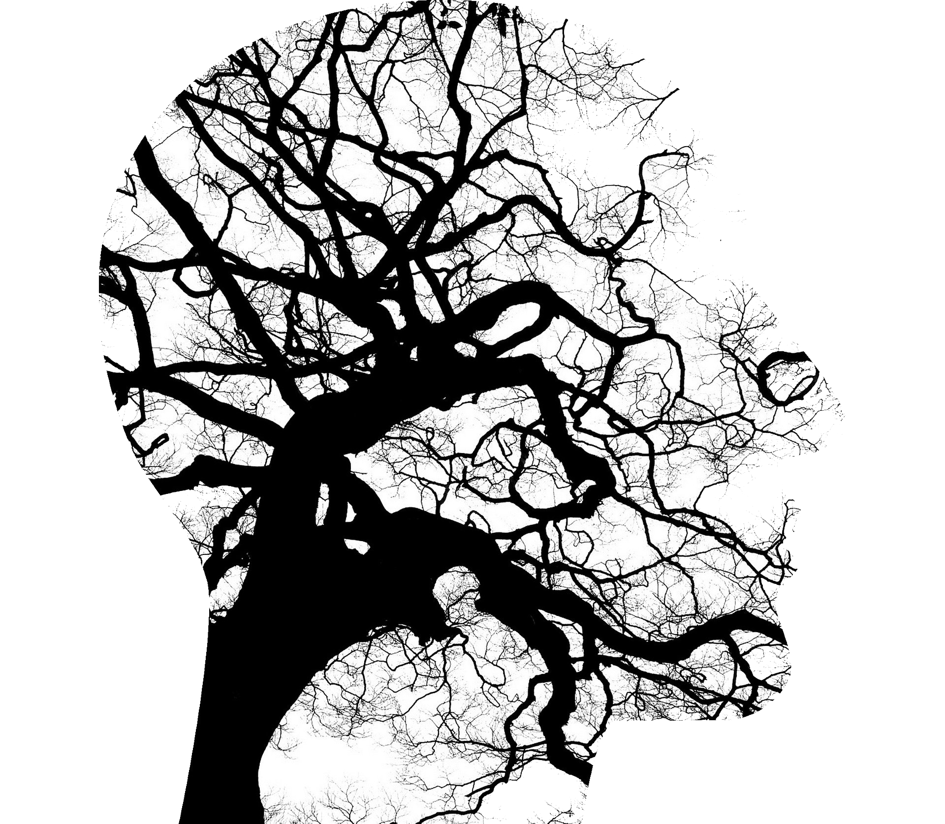 Mental Health Brain Roots Tree