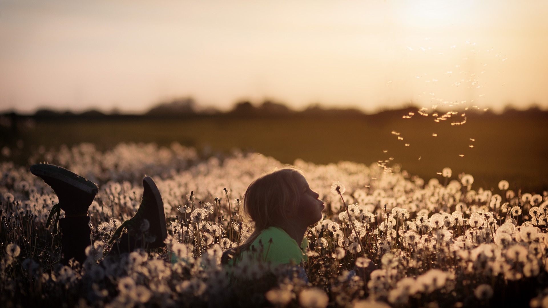 Child Laying in Grass Blowing Dandelions